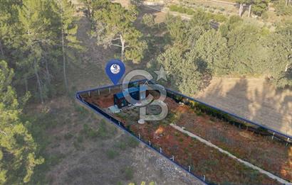 CB MARİNA'DAN DOĞA İLE İÇ İÇE 1.214M2 TARLA VE 2+1 TİNY HOUSE
