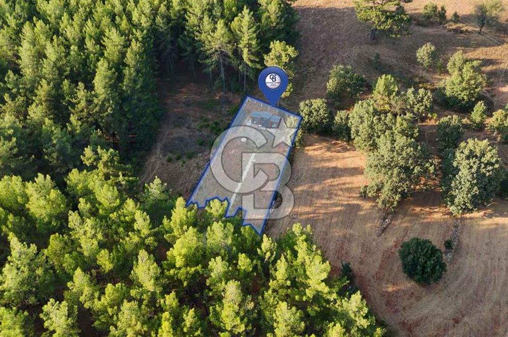 CB MARİNA'DAN DOĞA İLE İÇ İÇE 1.214M2 TARLA VE 2+1 TİNY HOUSE