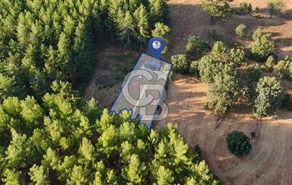 CB MARİNA'DAN DOĞA İLE İÇ İÇE 1.214M2 TARLA VE 2+1 TİNY HOUSE