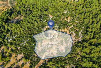 MENTEŞE KUYUCAK'DA SATILIK 5.932 M2 TARLA