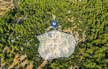 MENTEŞE KUYUCAK'DA SATILIK 5.932 M2 TARLA