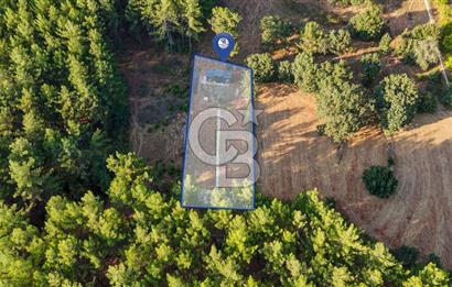 CB MARİNA'DAN DOĞA İLE İÇ İÇE 1.214M2 TARLA VE 2+1 TİNY HOUSE