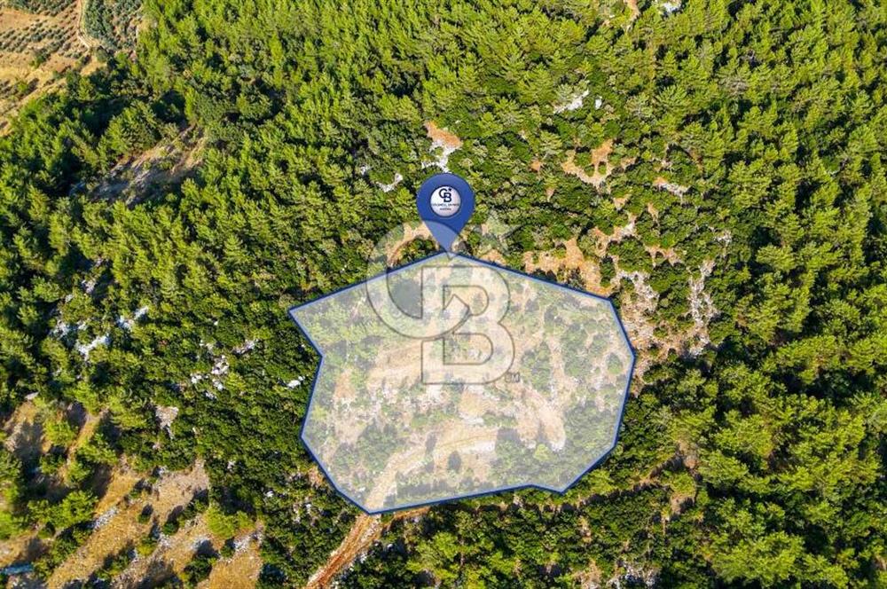 MENTEŞE KUYUCAK'DA SATILIK 5.932 M2 TARLA