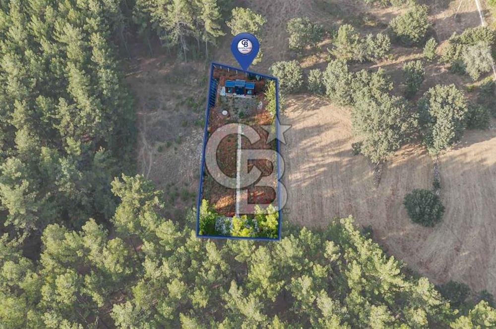 CB MARİNA'DAN DOĞA İLE İÇ İÇE 1.214M2 TARLA VE 2+1 TİNY HOUSE