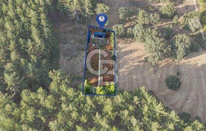 CB MARİNA'DAN DOĞA İLE İÇ İÇE 1.214M2 TARLA VE 2+1 TİNY HOUSE