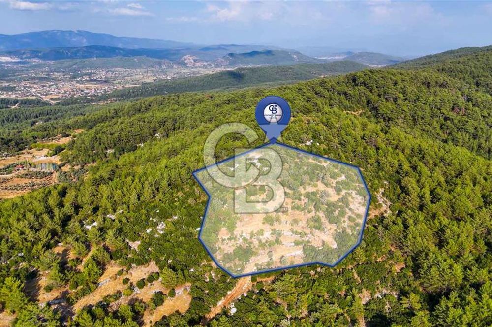 MENTEŞE KUYUCAK'DA SATILIK 5.932 M2 TARLA