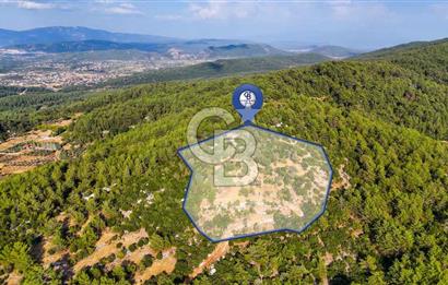 MENTEŞE KUYUCAK'DA SATILIK 5.932 M2 TARLA