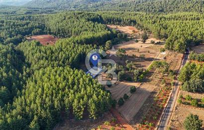 CB MARİNA'DAN DOĞA İLE İÇ İÇE 1.214M2 TARLA VE 2+1 TİNY HOUSE