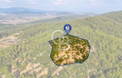 MENTEŞE KUYUCAK'DA SATILIK 5.932 M2 TARLA
