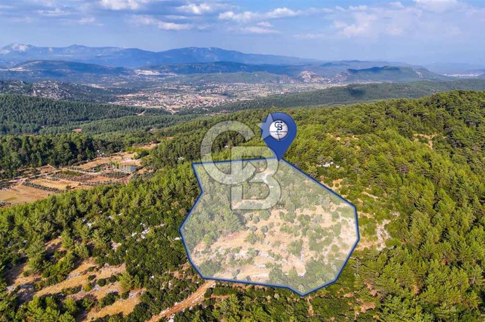 MENTEŞE KUYUCAK'DA SATILIK 5.932 M2 TARLA