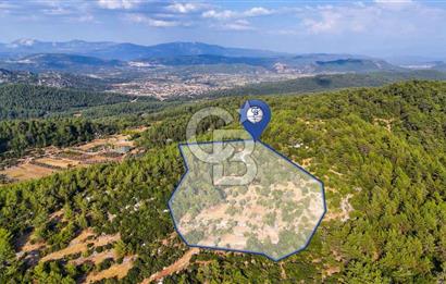 MENTEŞE KUYUCAK'DA SATILIK 5.932 M2 TARLA