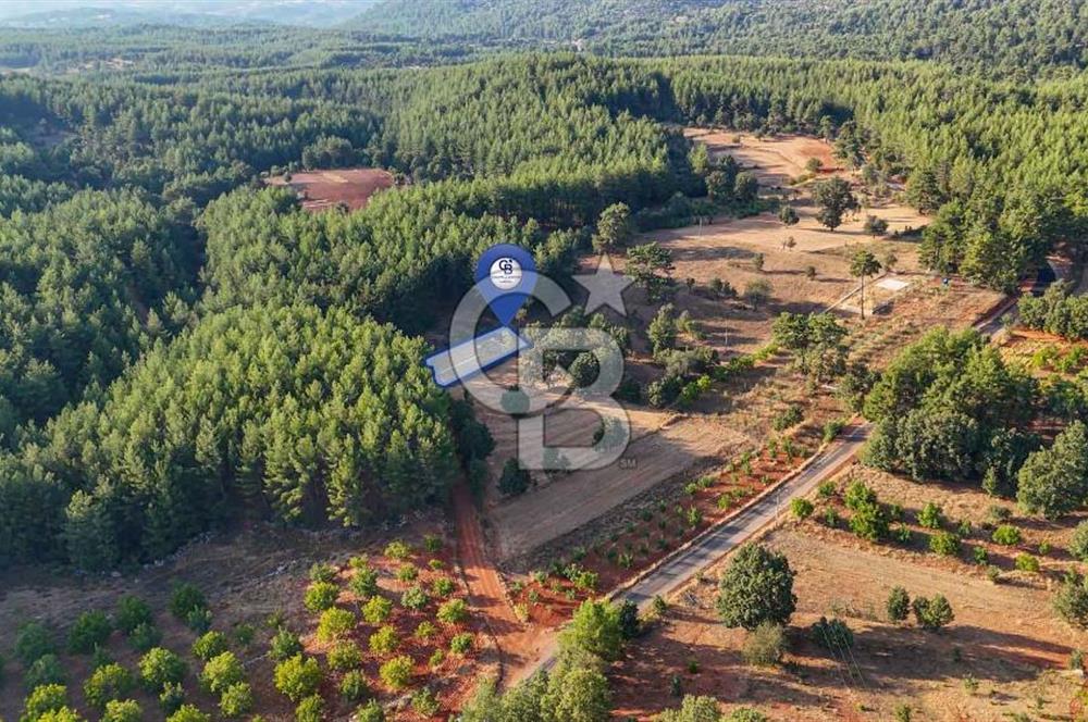 CB MARİNA'DAN DOĞA İLE İÇ İÇE 1.214M2 TARLA VE 2+1 TİNY HOUSE