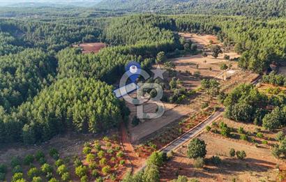 CB MARİNA'DAN DOĞA İLE İÇ İÇE 1.214M2 TARLA VE 2+1 TİNY HOUSE