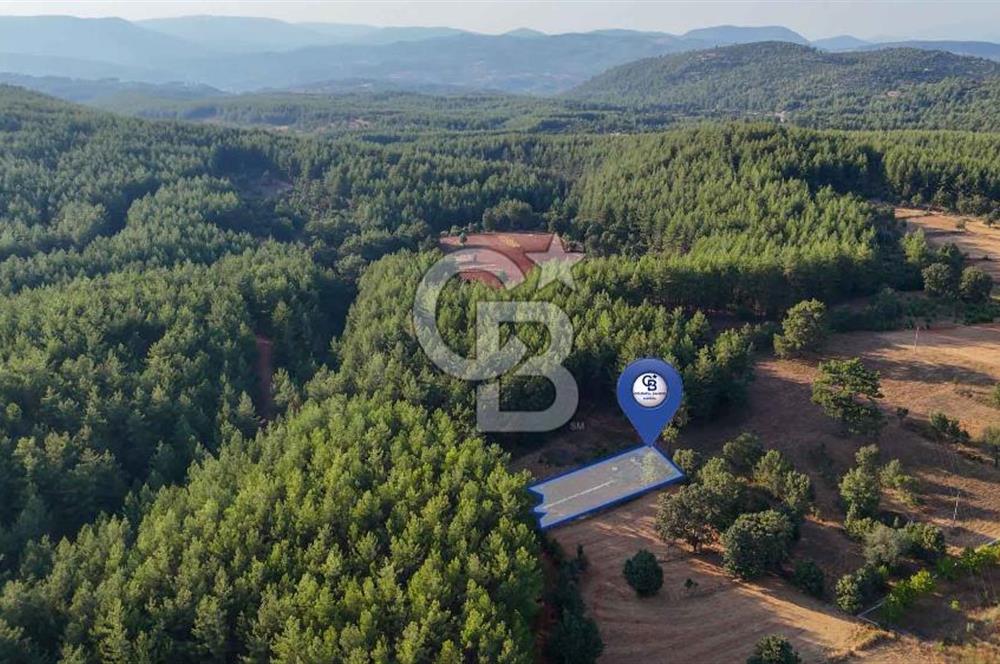 CB MARİNA'DAN DOĞA İLE İÇ İÇE 1.214M2 TARLA VE 2+1 TİNY HOUSE