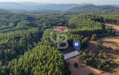 CB MARİNA'DAN DOĞA İLE İÇ İÇE 1.214M2 TARLA VE 2+1 TİNY HOUSE