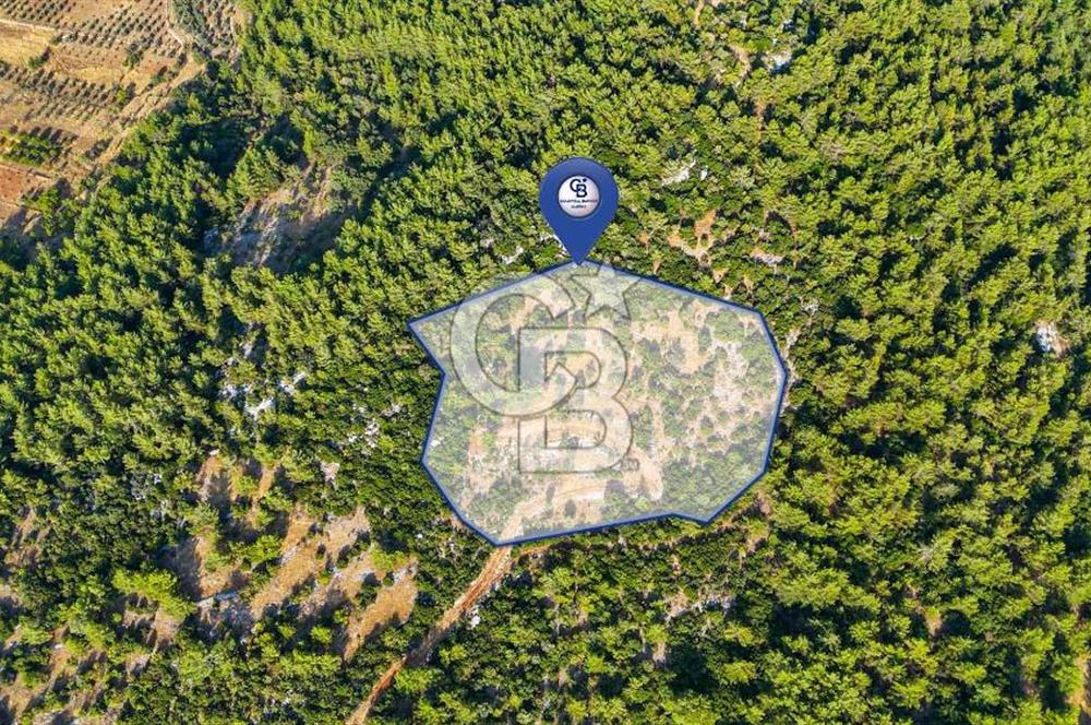 MENTEŞE KUYUCAK'DA SATILIK 5.932 M2 TARLA