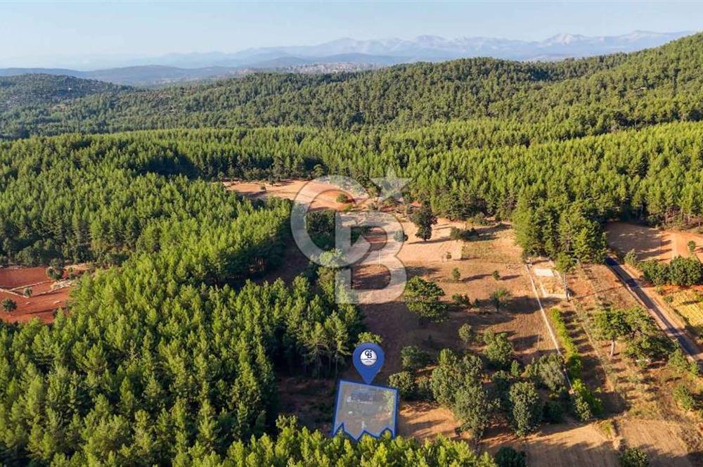 CB MARİNA'DAN DOĞA İLE İÇ İÇE 1.214M2 TARLA VE 2+1 TİNY HOUSE