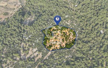 MENTEŞE KUYUCAK'DA SATILIK 5.932 M2 TARLA
