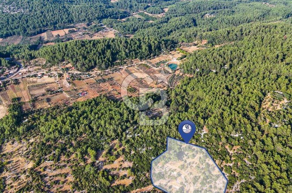 MENTEŞE KUYUCAK'DA SATILIK 5.932 M2 TARLA