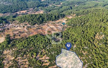MENTEŞE KUYUCAK'DA SATILIK 5.932 M2 TARLA