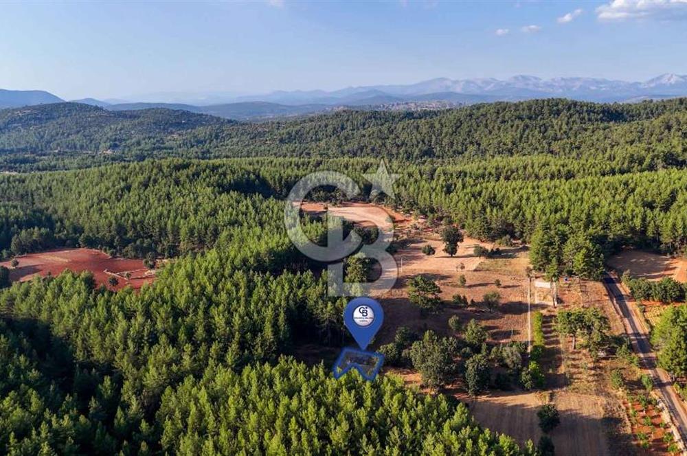 CB MARİNA'DAN DOĞA İLE İÇ İÇE 1.214M2 TARLA VE 2+1 TİNY HOUSE