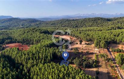 CB MARİNA'DAN DOĞA İLE İÇ İÇE 1.214M2 TARLA VE 2+1 TİNY HOUSE