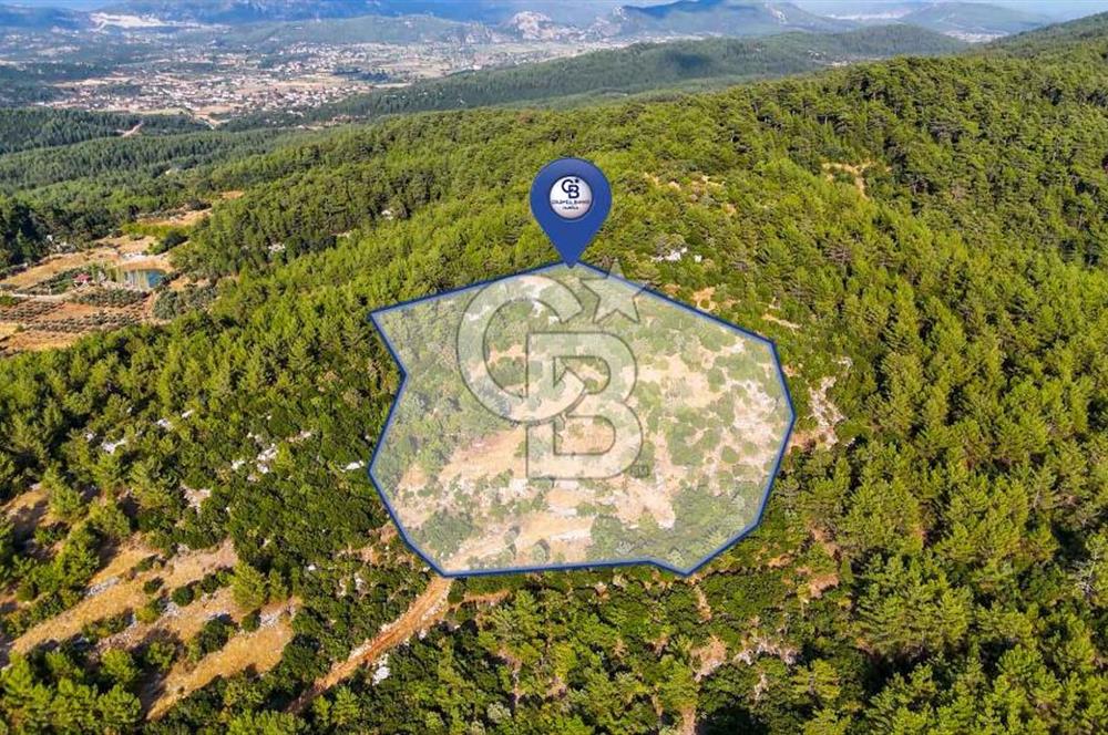 MENTEŞE KUYUCAK'DA SATILIK 5.932 M2 TARLA