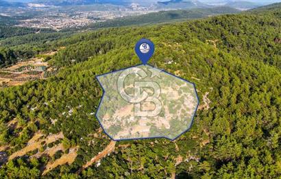 MENTEŞE KUYUCAK'DA SATILIK 5.932 M2 TARLA