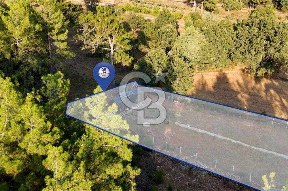 CB MARİNA'DAN DOĞA İLE İÇ İÇE 1.214M2 TARLA VE 2+1 TİNY HOUSE
