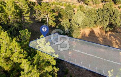 CB MARİNA'DAN DOĞA İLE İÇ İÇE 1.214M2 TARLA VE 2+1 TİNY HOUSE