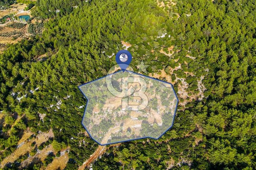 MENTEŞE KUYUCAK'DA SATILIK 5.932 M2 TARLA