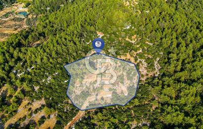 MENTEŞE KUYUCAK'DA SATILIK 5.932 M2 TARLA