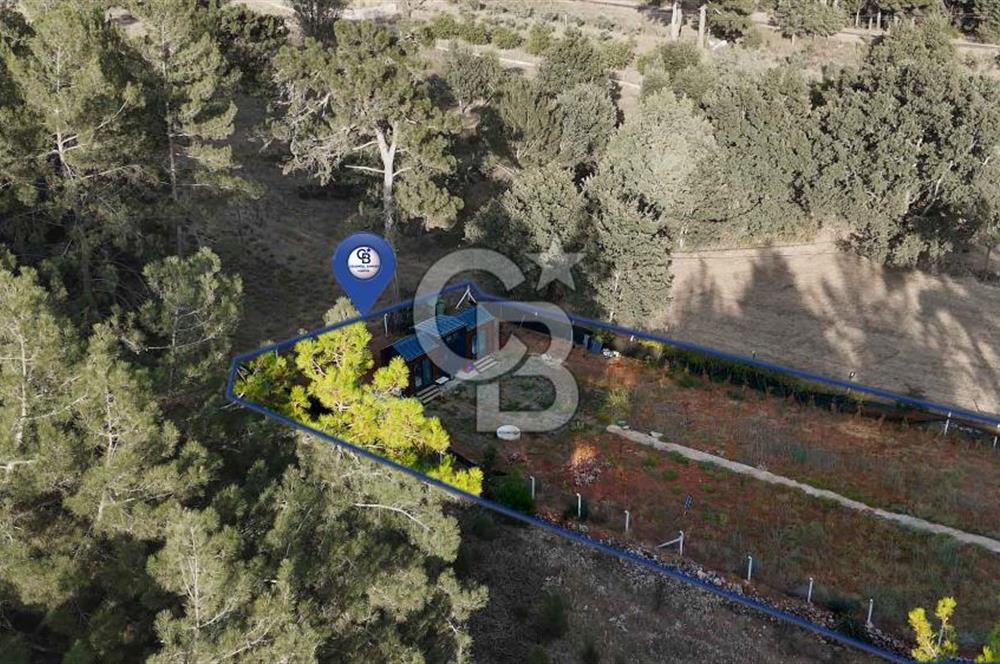 CB MARİNA'DAN DOĞA İLE İÇ İÇE 1.214M2 TARLA VE 2+1 TİNY HOUSE