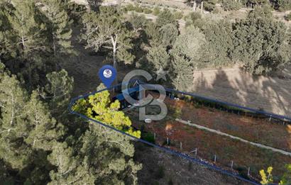 CB MARİNA'DAN DOĞA İLE İÇ İÇE 1.214M2 TARLA VE 2+1 TİNY HOUSE