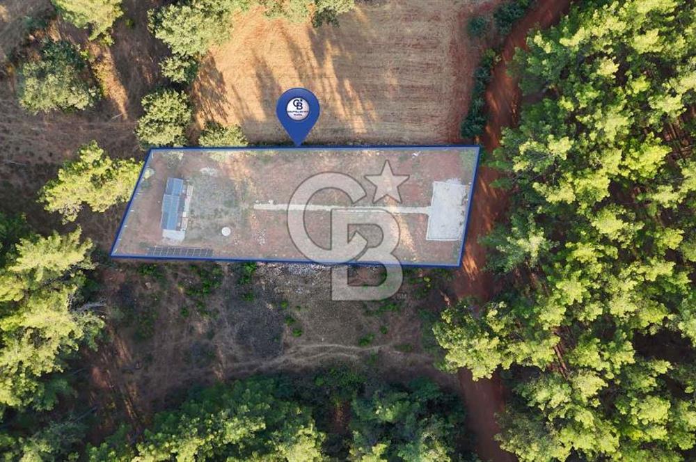 CB MARİNA'DAN DOĞA İLE İÇ İÇE 1.214M2 TARLA VE 2+1 TİNY HOUSE
