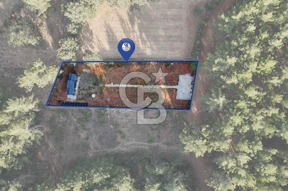 CB MARİNA'DAN DOĞA İLE İÇ İÇE 1.214M2 TARLA VE 2+1 TİNY HOUSE