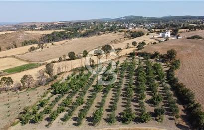 ÇANAKKALE MERKEZ KIZILKEÇİLİ DENİZ MANZARALI HAYALLERDEKİ TARLA