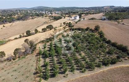 ÇANAKKALE MERKEZ KIZILKEÇİLİ DENİZ MANZARALI HAYALLERDEKİ TARLA