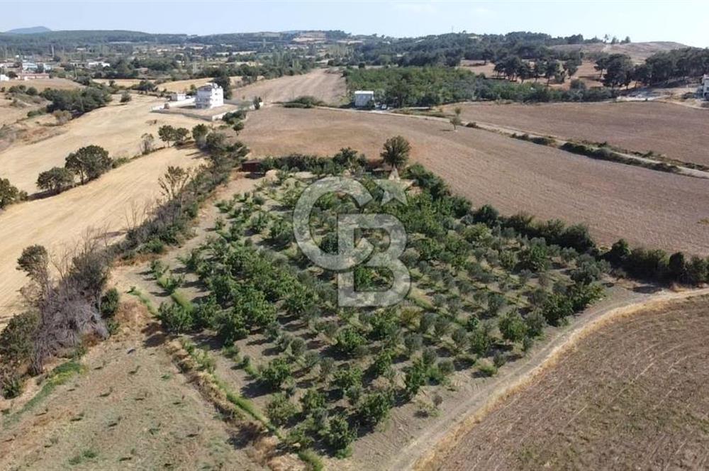 ÇANAKKALE MERKEZ KIZILKEÇİLİ DENİZ MANZARALI HAYALLERDEKİ TARLA