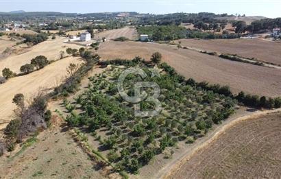 ÇANAKKALE MERKEZ KIZILKEÇİLİ DENİZ MANZARALI HAYALLERDEKİ TARLA