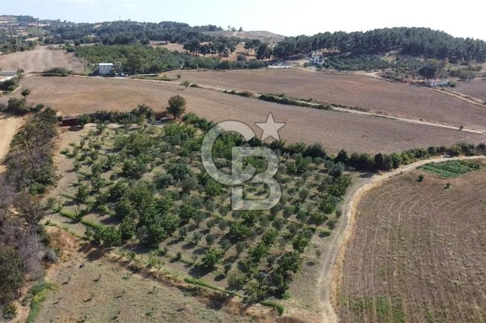 ÇANAKKALE MERKEZ KIZILKEÇİLİ DENİZ MANZARALI HAYALLERDEKİ TARLA