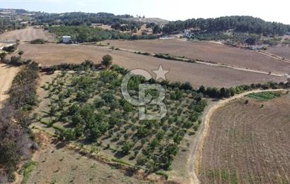 ÇANAKKALE MERKEZ KIZILKEÇİLİ DENİZ MANZARALI HAYALLERDEKİ TARLA