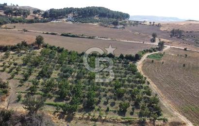 ÇANAKKALE MERKEZ KIZILKEÇİLİ DENİZ MANZARALI HAYALLERDEKİ TARLA