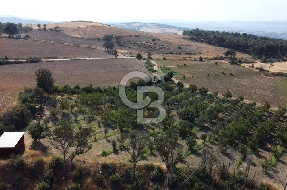 ÇANAKKALE MERKEZ KIZILKEÇİLİ DENİZ MANZARALI HAYALLERDEKİ TARLA