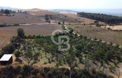 ÇANAKKALE MERKEZ KIZILKEÇİLİ DENİZ MANZARALI HAYALLERDEKİ TARLA