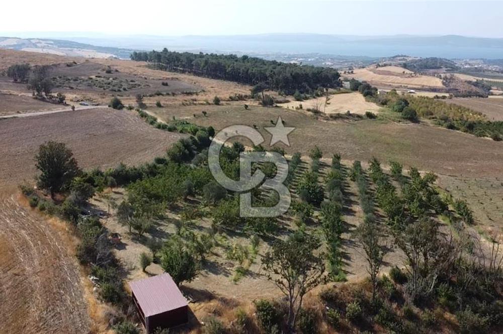 ÇANAKKALE MERKEZ KIZILKEÇİLİ DENİZ MANZARALI HAYALLERDEKİ TARLA