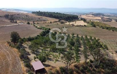 ÇANAKKALE MERKEZ KIZILKEÇİLİ DENİZ MANZARALI HAYALLERDEKİ TARLA