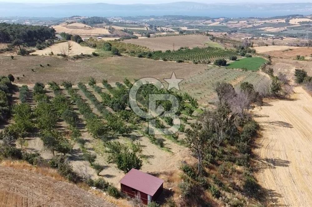 ÇANAKKALE MERKEZ KIZILKEÇİLİ DENİZ MANZARALI HAYALLERDEKİ TARLA