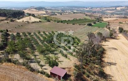 ÇANAKKALE MERKEZ KIZILKEÇİLİ DENİZ MANZARALI HAYALLERDEKİ TARLA