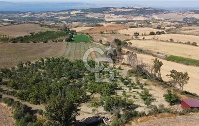 ÇANAKKALE MERKEZ KIZILKEÇİLİ DENİZ MANZARALI HAYALLERDEKİ TARLA